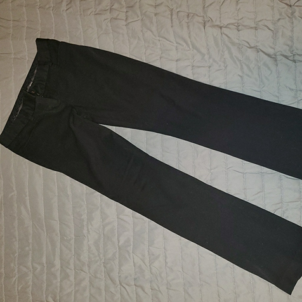 Express dress pants
